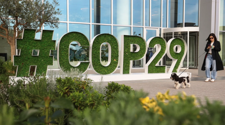 COP29: O que é um crédito de carbono e o tal Artigo 6 do Acordo de Paris?